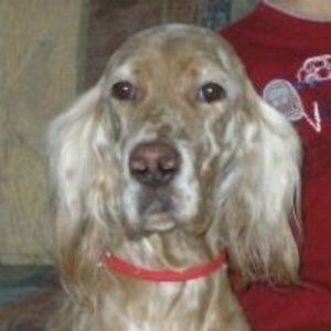 Meet your Posher, Jan